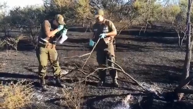 Tres detenidos por trabajos con herramientas eléctricas cerca de incendio en Limache