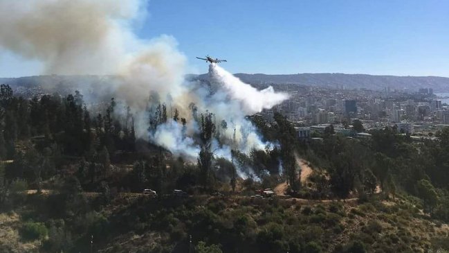 Viña: Bomberos y Conaf controlaron incendio forestal en parte alta de Sausalito