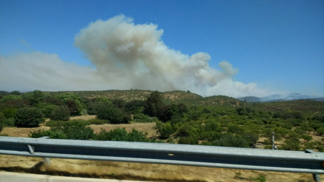 Cancelan alerta roja en Limache y Villa Alemana por incendios forestales