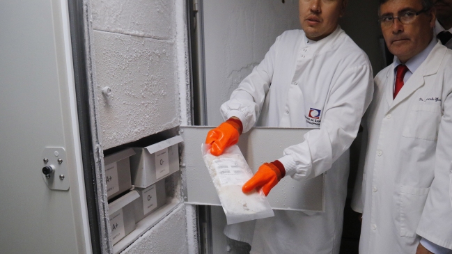 Investigan muerte de niña por virus hanta en Valdivia