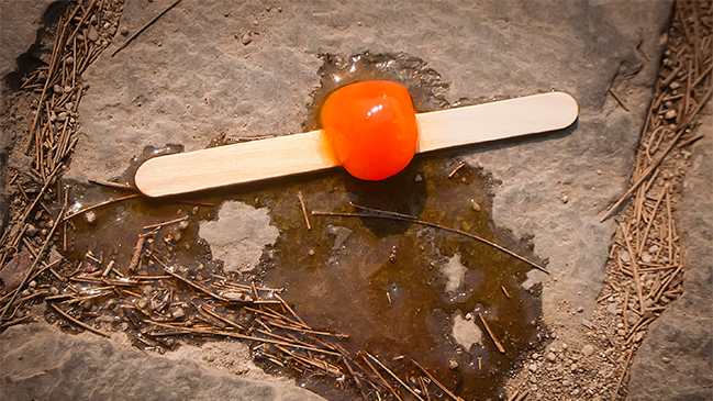 Imagen foto_00000016