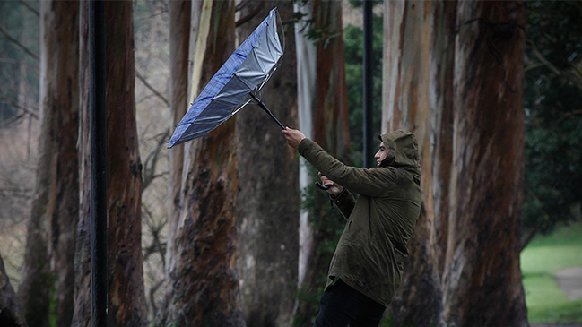 Imagen foto_00000026