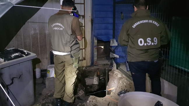 Carabineros encuentra túnel que iba hacia sucursal bancaria en Coronel
