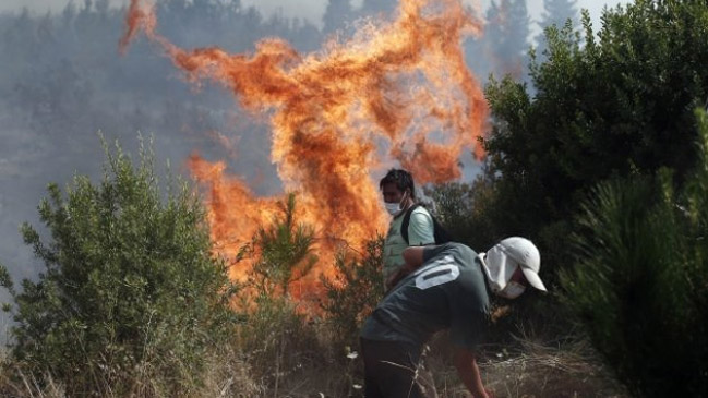 Intendencia y Onemi declaran alerta roja en Colina por incendio forestal