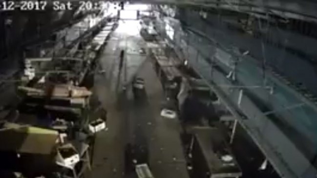 Trabajador de Lo Valledor renunció tras lanzar gato a una jauría de perros