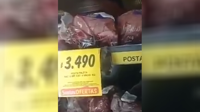 Seremi de Salud no aplicó sumario contra supermercado por hallazgo de murciélagos