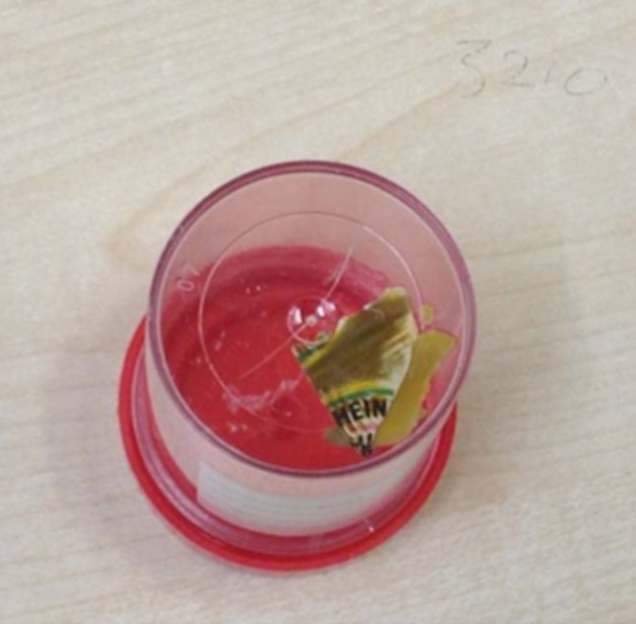 Imagen foto_00000002