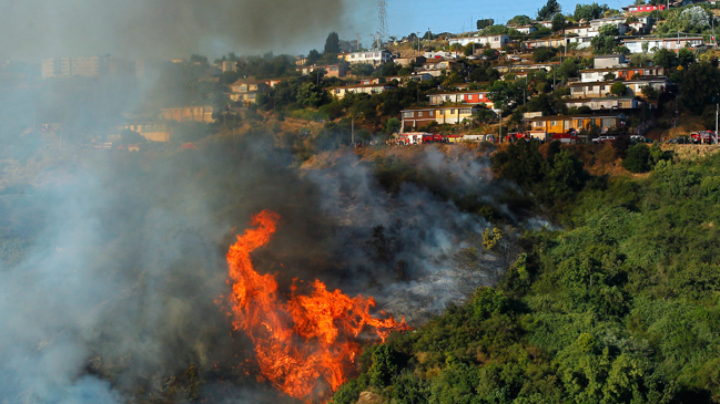 Conaf entregó recomendaciones para evitar incendios forestales