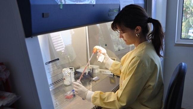 Descubren procedimiento para rejuvenecer las células