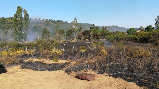 Detienen a adulto mayor por incendio forestal en Casablanca