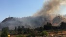 Onemi declaró alerta roja por incendio forestal en Paine
