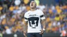 Miguel Herrera respondió a la provocación de Nicolás Castillo: El clásico no es una guerra