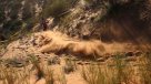 Director del Dakar quiere presentar proyecto a las autoridades chilenas