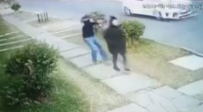 Imagen foto_00000001