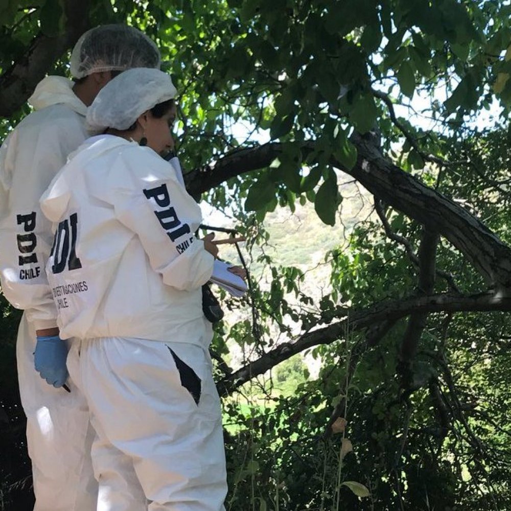 Investigan hallazgo del cuerpo de una mujer en la comuna de Machalí