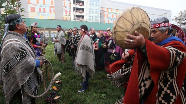 Estudio: 52 por ciento de los chilenos cree no tener ancestros indígenas