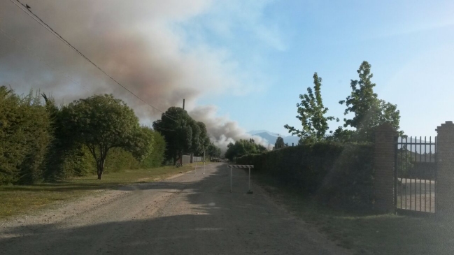 Incendio forestal obligó evacuar varios camping en Isla de Maipo