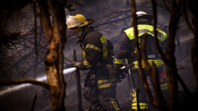 Alerta temprana preventiva para la Región de Valparaíso por incendios forestales