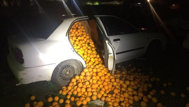 Policías detuvieron unos autos y descubrieron que estaban llenos de naranjas
