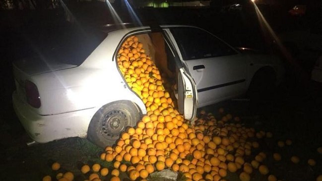 Policías detuvieron unos autos y descubrieron que estaban llenos de naranjas