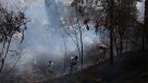 Región de Los Ríos: Incendio forestal consume 270 hectáreas en Mariquina