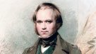 La Historia es Nuestra: Todo lo que aprendió en Chile el joven Charles Darwin