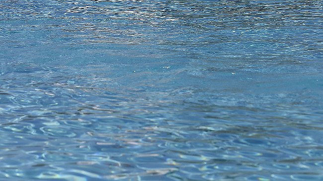 Rancagua: Joven murió ahogado tras ingresar clandestinamente a piscina municipal