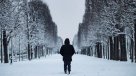 Bellas imágenes de París deja la mayor nevada en 30 años