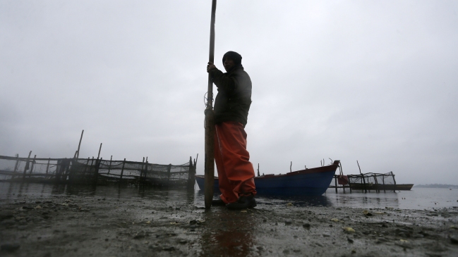 Marea roja en Chiloé es 
