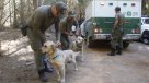 Autoridades critican recompensa de Farkas: \
