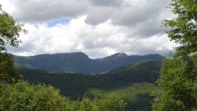 Conaf dio a conocer los avances del plan contra el cambio climático