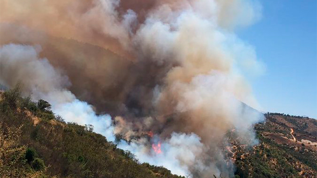 Incendios forestales afectan la Región de Valparaíso