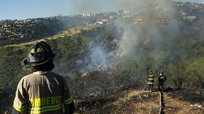 Conaf sobre incendios forestales: 