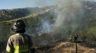 Conaf sobre incendios forestales: \
