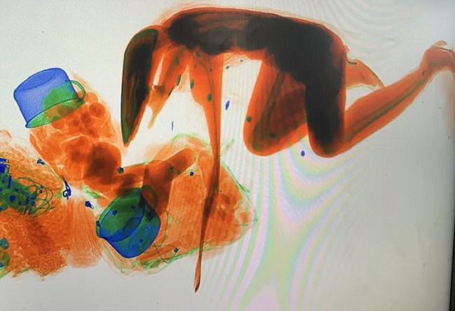 Imagen foto_00000001