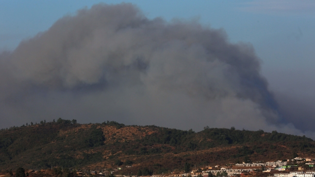 Incendios forestales mantienen en alerta roja a comunas de Valparaíso y La Araucanía