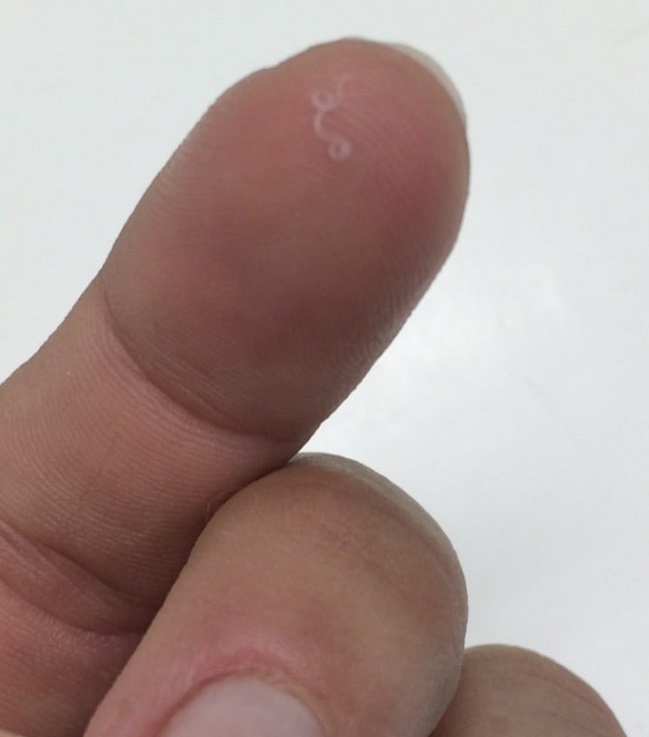 Imagen foto_00000002