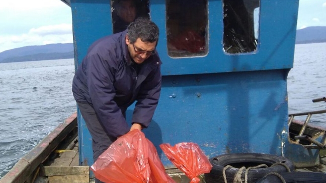 Chiloé: Se amplía hasta Ancud la zona afectada por marea roja