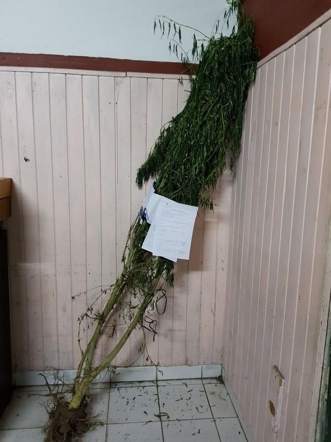 Imagen foto_00000002