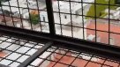 El infierno que vive un barrio donde una alarma lleva 10 días sonando