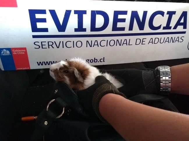 Imagen foto_00000002