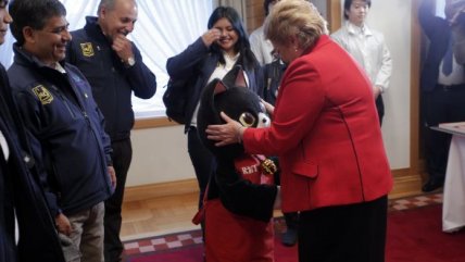   Las múltiples actividades de la Presidenta Bachelet en Japón 
