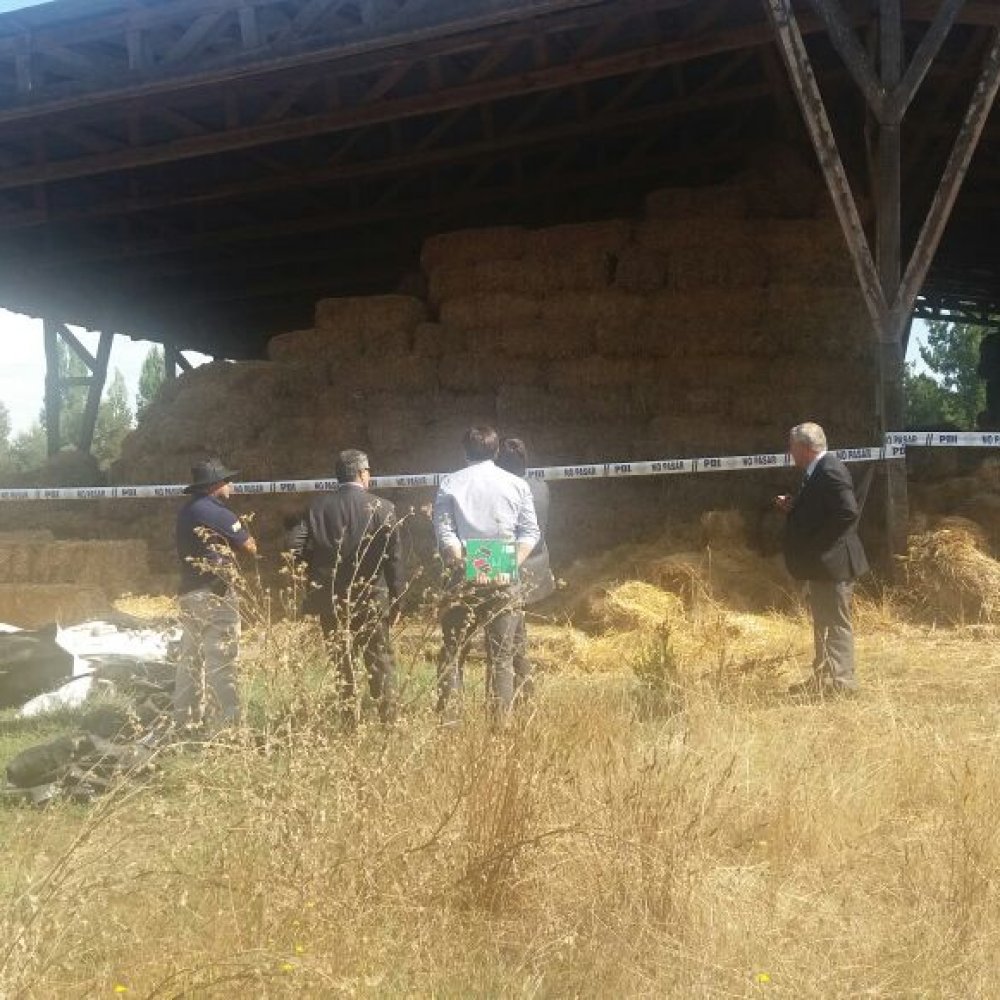 Colonia Dignidad: Investigan si túneles subterráneos se usaron para torturas