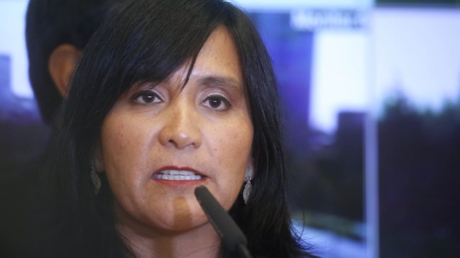 Ministra Tapia reiteró que Gobierno no tiene facultades para sancionar a aerolínea LAW