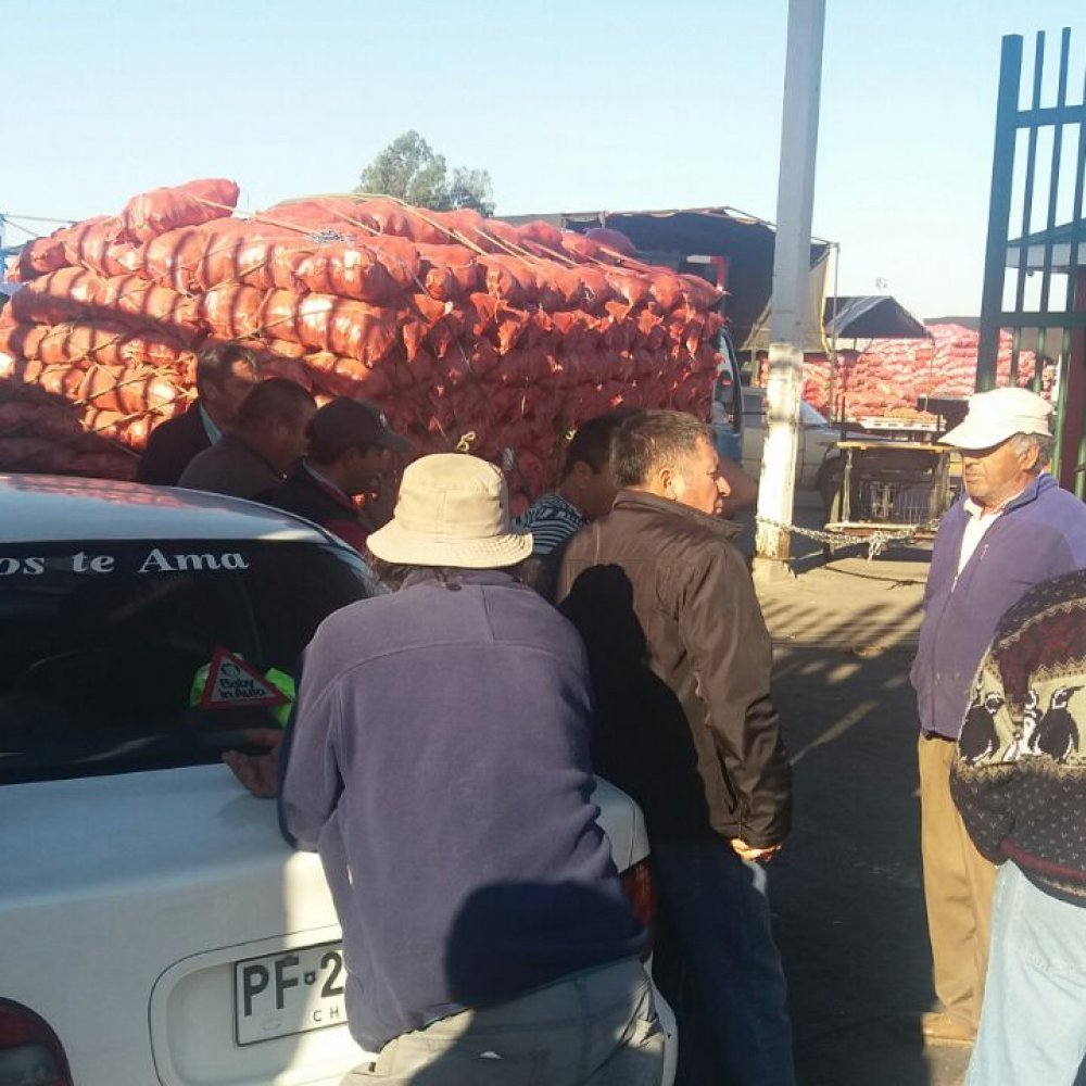 Macroferia de Talca: Comerciantes deponen toma y esperan reunirse con autoridades