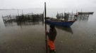 Lanzan aplicación para alertar sobre la presencia de marea roja
