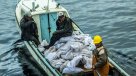 Pescadores bloquean acceso a isla de Aysén por incumplimiento del Gobierno