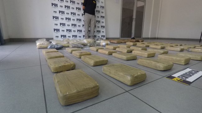 Encuentran más de 900 millones de pesos en marihuana Cripy en el desierto de Arica