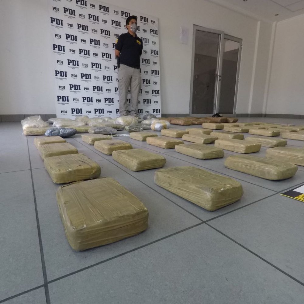 Encuentran más de 900 millones de pesos en marihuana Cripy en el desierto de Arica
