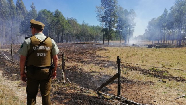 Carabineros detuvo a mujer acusada de provocar un incendio forestal en Los Ríos